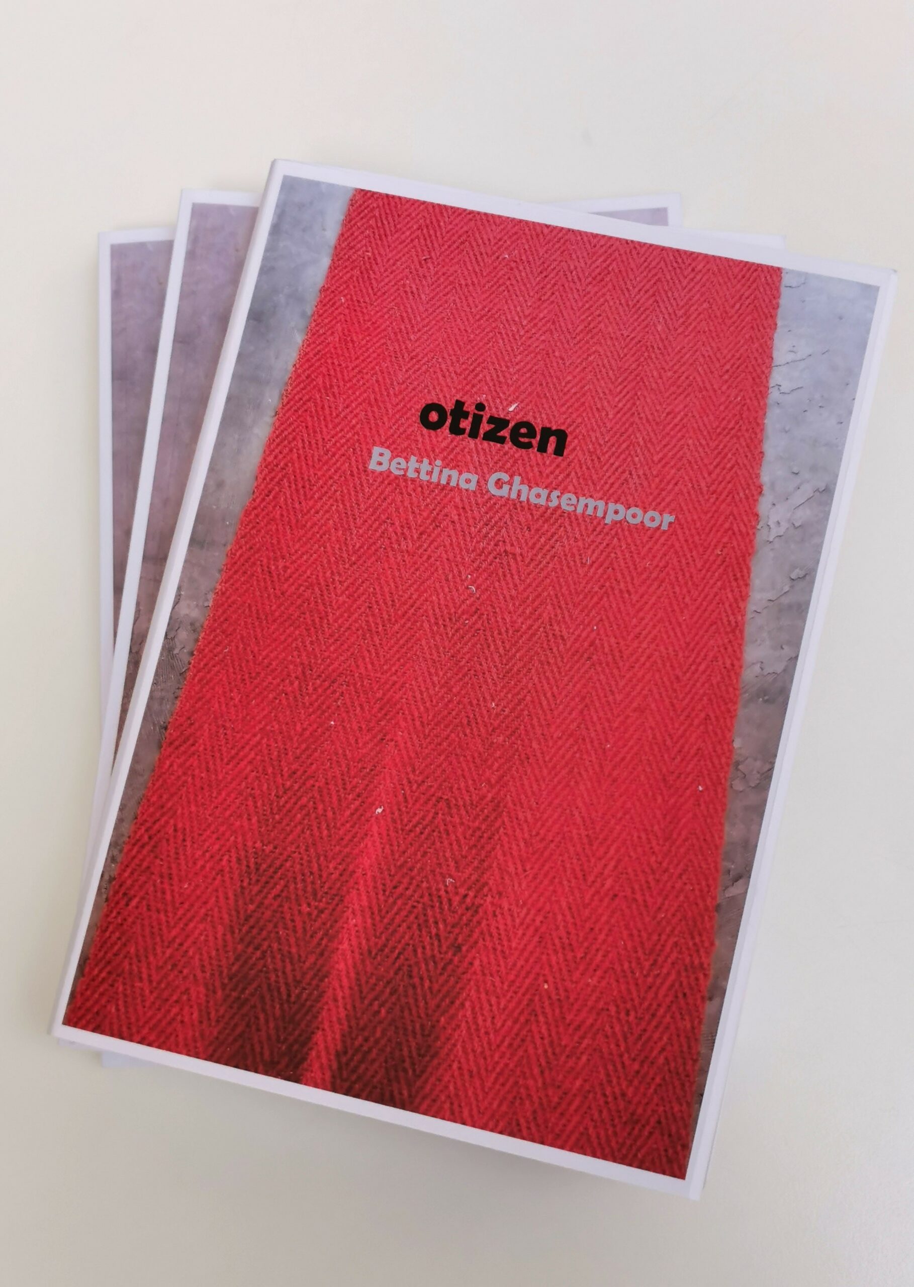 Buchpräsentation – “otizen” mit Bettina Ghasempoor